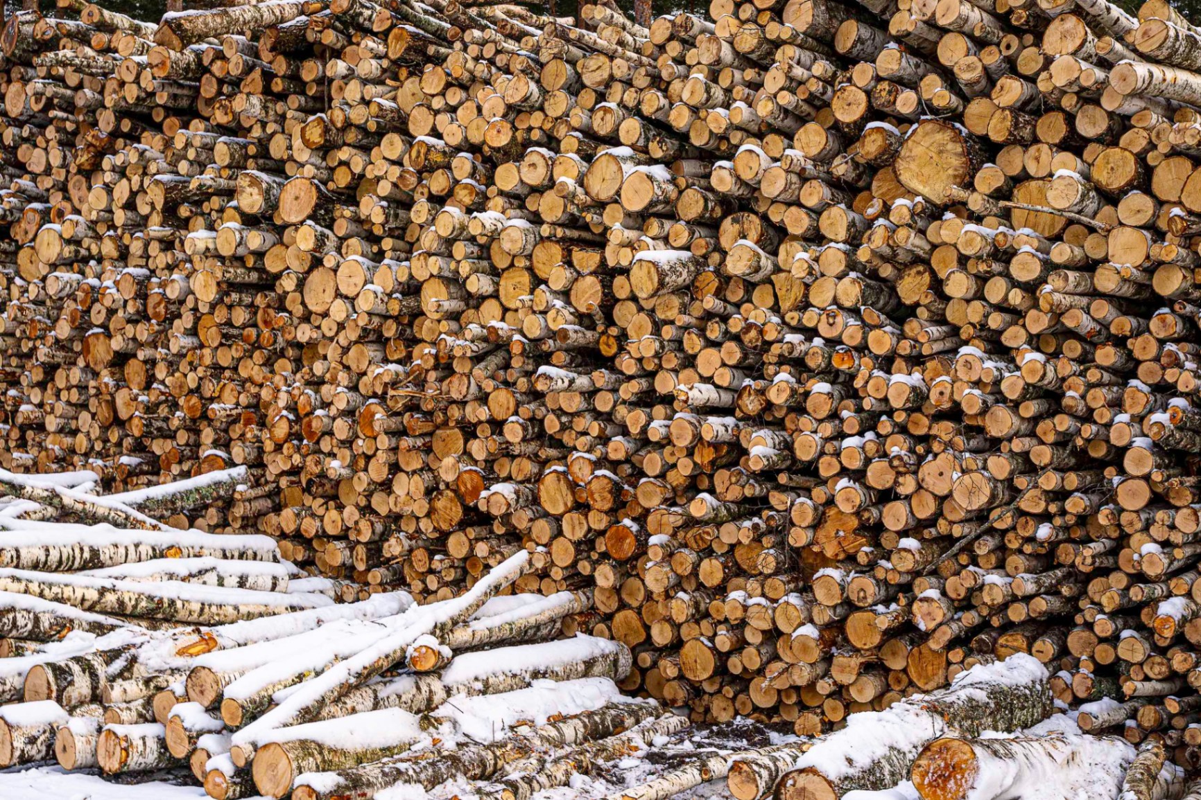Sustainably managed Baltic forest — PEFC-certified firewood source